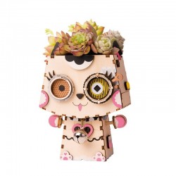 Robotime Collection de petits pots de fleurs Robotime. Accueil