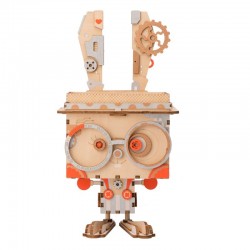 Robotime Collection de petits pots de fleurs Robotime. Accueil