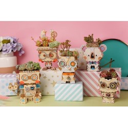 Robotime Collection de petits pots de fleurs Robotime. Accueil