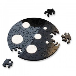 copy of puzzle noir et...