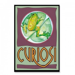 petit puzzle 33 pièces grenouille, Curiosi, 4260089025806