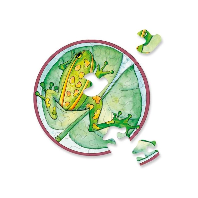 petit puzzle 33 pièces grenouille, Curiosi, 4260089025806