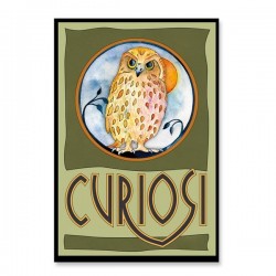 puzzle 33 pièces la chouette, Curiosi, 4260089025776