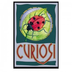 puzzle 33 pièces la coccinelle, Curiosi, 4260089028750