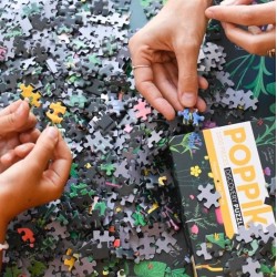 Puzzle 1000 pièces, illustration les fleurs, Poppik