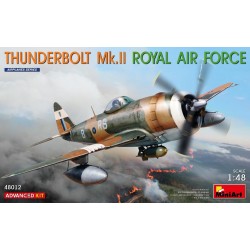 copy of P47D Thunderbolt,...
