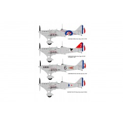 Dewoitine D500, maquette Dora Wings, Maquette avion plastique 1/32