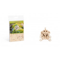 WOOD TRICK Woodik, l'adorable grenouille, Wood Trick Accueil