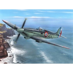 Maquette Avion 1/48 Seafire...