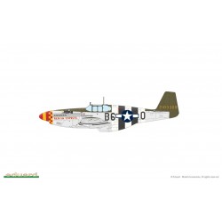Maquette Avion Eduard, OVERLORD: D-DAY MUSTANGS  / P-51B MUSTANG  DUAL COMBO 1/48 EDUARD-LIMITED