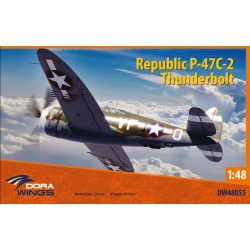 Maquette avion Republic...