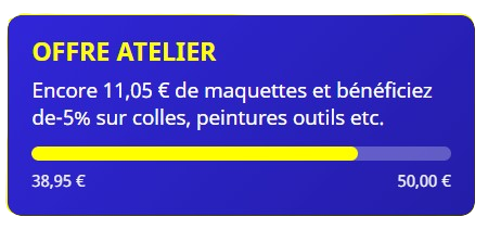 Affichage de la progression de l'offre accessoires Tridipuz dans le panier